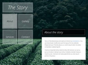 the story free css template