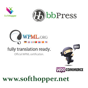 wordpress woocommerce platform